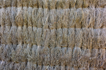 Straw fense texture