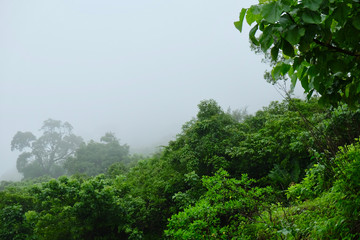 lush green landscape of mountain and hills in monsoon season, Purandar, Maharashtra, India