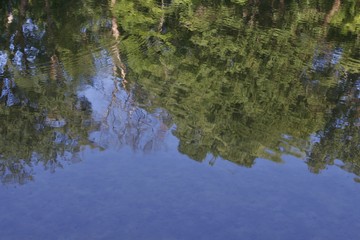 The surface of the river