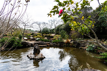 the natulal garden in jeju