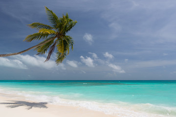 Fototapeta na wymiar Lonely beach in the Caribbean on a sunny summer day with an almost cloudless sky