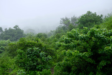 lush green landscape of mountain and hills in monsoon season, Purandar, Maharashtra, India