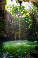 Ik-Kil Cenote near Chichen Itza, Mexico. Cenote with transparent waters and hanging roots