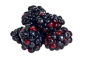 Moras
