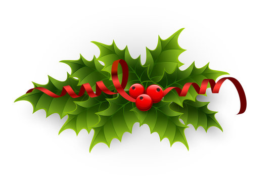 Illustration of a holly berries and tinsel on a white background.