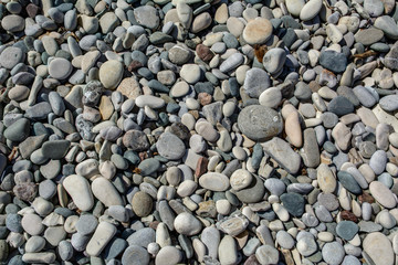 Kolorowe kamyki na plaży © Agnieszka