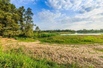 Fototapeta na wymiar River landscape Millingerwaard at sunrise with overflow basins high water floodplain forests and blooming wild flowers against blue sky with scattered clouds