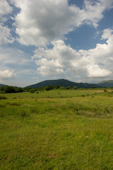The road to Santiago as it passes through Burguete