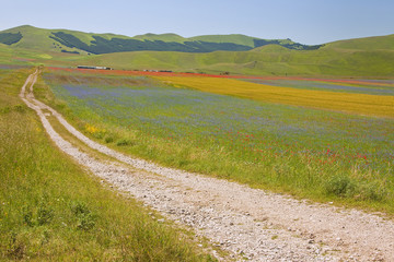 Fototapeta premium A magnificent sunrise in Castelluccio di Norcia. expecting more to the thousand colours of flowering 
