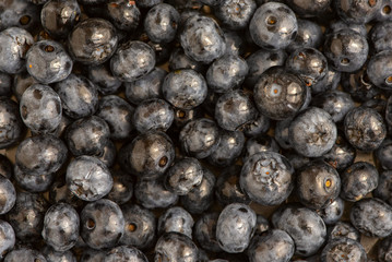 Fresh blueberry background. Texture blueberry berries close up