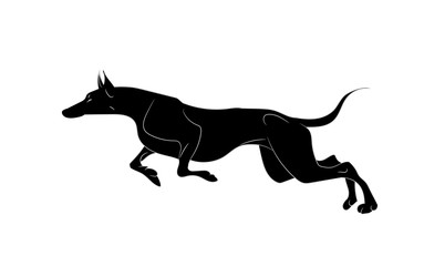 Obraz na płótnie Canvas dog runs silhouette, vector