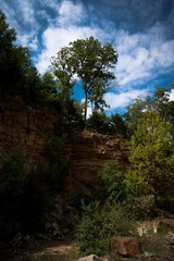 Obraz premium Lone Tree High Above