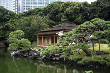 Obraz premium Hamarikyu Garden