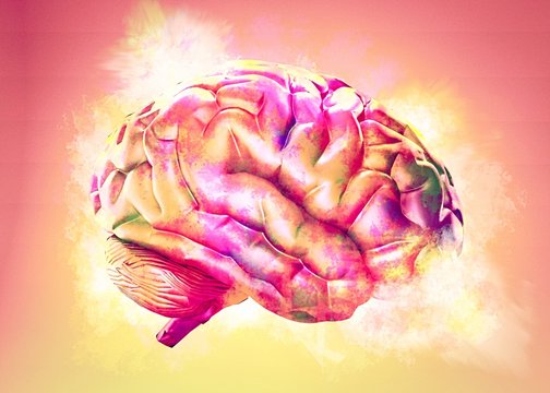 Colorful brain exploding. 3d illustration