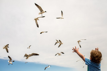 Birds flying around with boy's hands in air