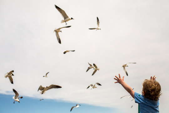 Birds flying around with boy's hands in air
