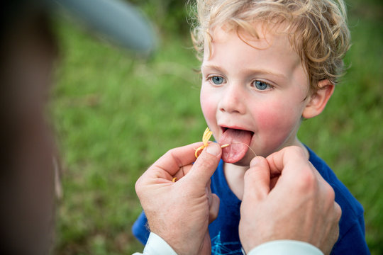 Little boy tasting honeysuckle on his tongue