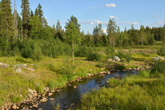 Summer landscape. Forest River in Finnish Lapland