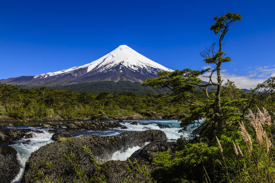Petrohue rapids, snow-capped, conical Osorno volcano, Vicente Perez Rosales National Park, Spring, Lakes District, Chile