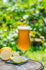 A glass of cold beer on wooden stump in the garden
