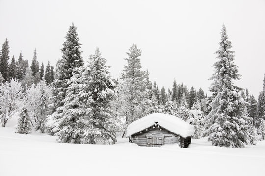 Wood hut in the snow, Levi, Kittila, Lapland, Finland