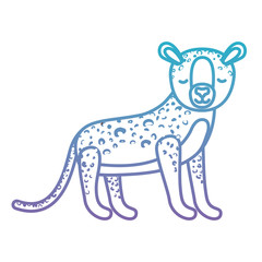 wild cheetah animal isolated vector illustration design