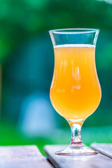 A glass of cold beer on wooden stump in the garden