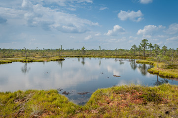 Panoramic bog landscape with lake in sunny summer day. Ingatsi study trail. Soomaa National Park. Estonia. Baltic.