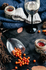  wine in glasses ,red berries,bumps and autumn branches on dark table. Autumn or Winter concept.