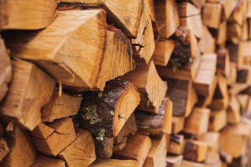 Stacks of Firewood. Preparation of firewood for the winter.