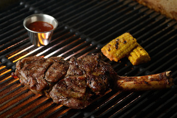 Grilled meat with vegetables and sauce, on the grill