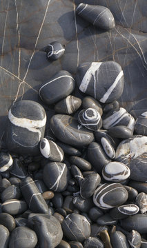 Beautiful Grey And White Stripy Pebbles