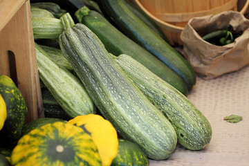 Fresh zucchini and squash at the farmer's market.
