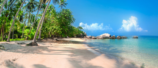 Beautiful tropical beach at exotic island with palm trees