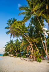 Tropical beach in Maldives.Tropical Paradise at Maldives with palms, sand and blue sky