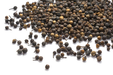 Cubebe pepper isolated on white