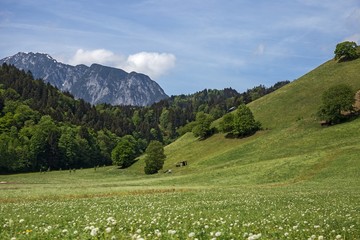 Fototapeta na wymiar Typical Tyrol landscape in May, Austria