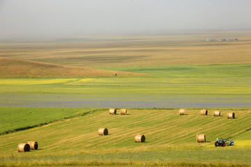 Obraz premium A magnificent sunrise in Castelluccio di Norcia. expecting more to the thousand colours of flowering 
