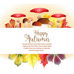 garden autumn vivid leaves and mushroom