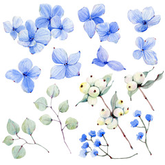 Watercolor flowers set in vintage style.