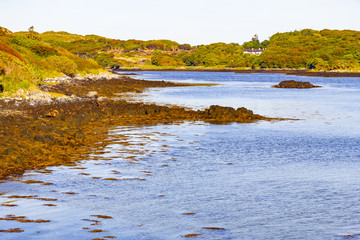 Clifden bay with vegetation and blue sky