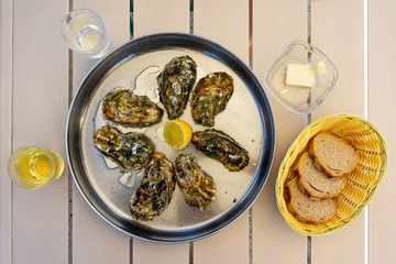 Fresh Oysters close-up
