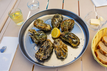Fresh Oysters close-up