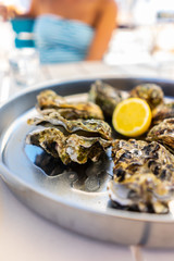 Fresh Oysters close-up