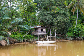 Naklejka premium Fishermans hut on stilts at Brunei River in Sabah, Malaysia