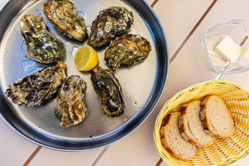Fresh Oysters close-up