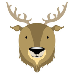Isolated cute moose avatar