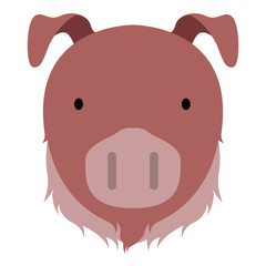 Isolated cute pig avatar