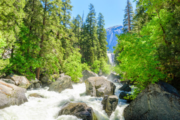 Merced River landscape in Yosemite National Park. Whitewater Rapids. California, USA.