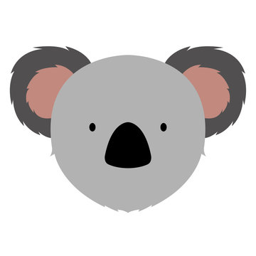 Isolated cute koala avatar